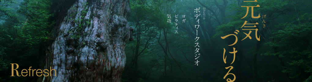 Slideshow Image 3