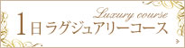 1日ラグジュアリーコース