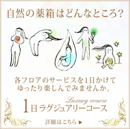 1日ラグジュアリーコース