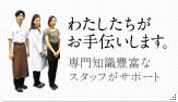 スタッフ紹介
