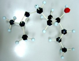 化学分子模型355