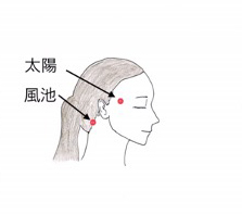 お顔と頭のツボでリフレッシュ 自然の薬箱 Naturalist Web Magazine